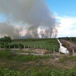 3 Hektar Lahan di Ogan Ilir Sumsel Ludes Terbakar
