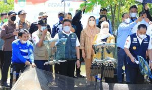 Pokja Tiga TP PKK Sumsel Bakal Siap Gelar Pelatihan Budidaya Tanaman dan Ikan