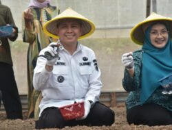 Pj Gubernur Sumsel Ajak Masyarakat OKU  Tanam Bawang Dalam Mengendalikan Inflansi Daerah 
