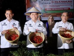 Kendalikan Inflasi, Pj Gubernur Agus Fatoni Panen Raya Cabe Bersama Petani di Ogan Ilir
