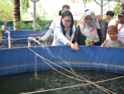 Siti Nurizka Legislator Gerindra Cek bantuan Bioflok di Kelurahan Keramasan Kertapati