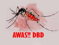 Didominasi Anak-Anak dan Remaja, Kasus DBD di Palembang Meningkat