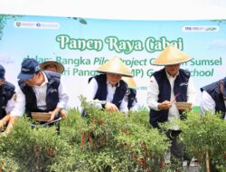 Pj Gubernur Elen Setiadi Bersama Kepala Perwakilan BI Sumsel  Panen Raya Cabai di Lahan Pilot Project  SMKN 1 Gelumbang