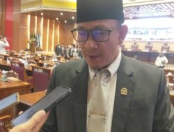 Anggota DPRD Sumsel Dapil 3 Jauhari Minta Jembatan Desa Labuhan Jaya Kecamatan Mesuji OKI Segera di Perbaiki