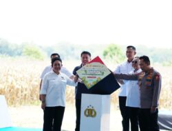 Komitmen Pemerintah Serap Hasil Panen Petani di Panen Raya Jagung Sumsel