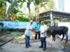 PLN UID S2JB Tebar Kepedulian Lewat Qurban, Hadirkan Kebahagiaan untuk Masyarakat Sekitar dalam Momentum Idul Adha